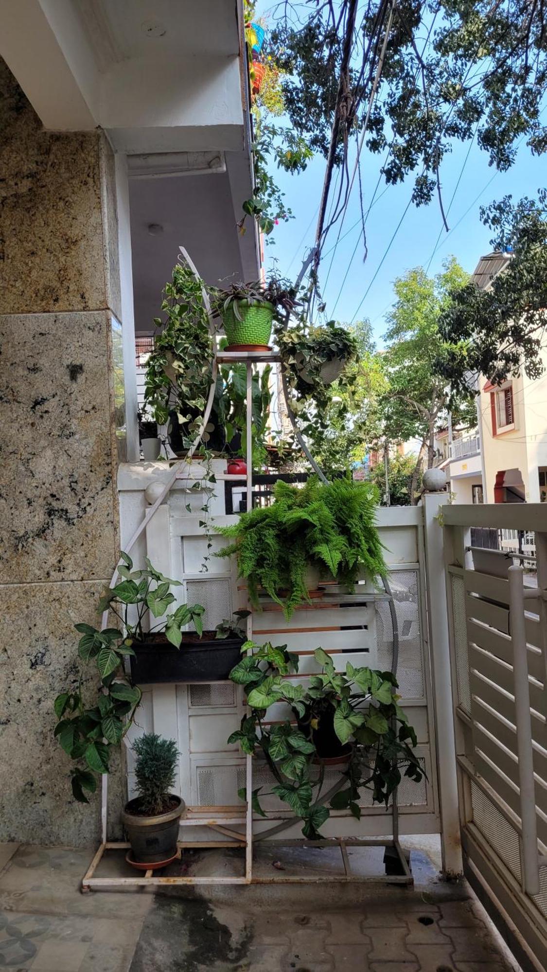Rvr Home - Beautiful Rooms Μπανγκαλόρ Εξωτερικό φωτογραφία